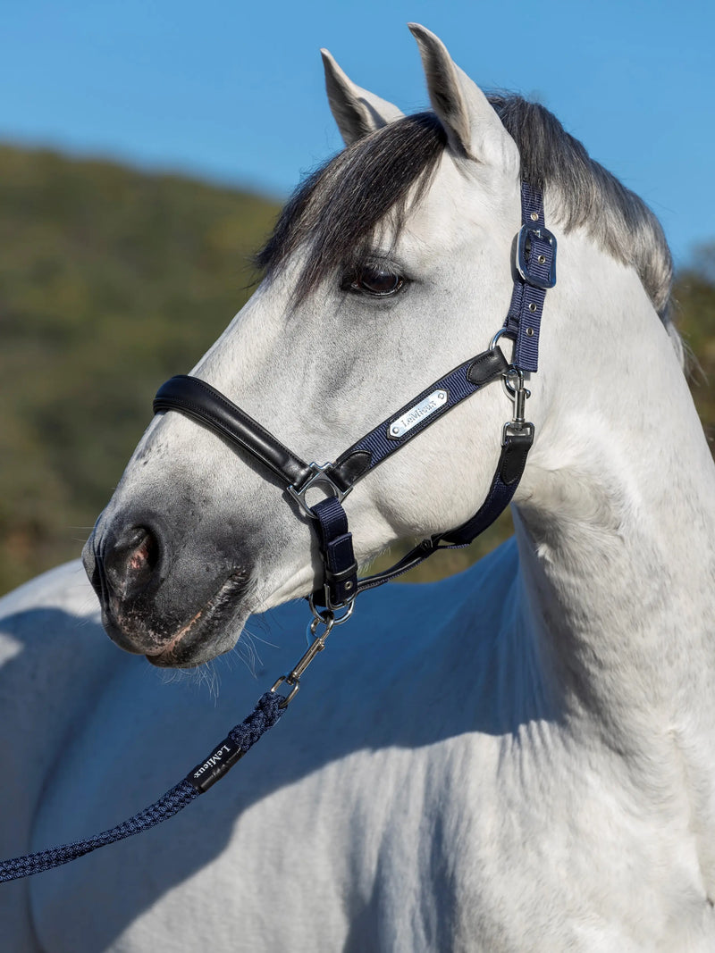Indlæs billede i Gallery Viewer, LM Capella Headcollar Navy
