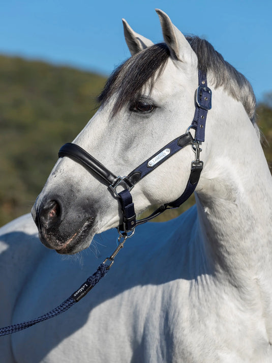 LM Capella Headcollar Navy