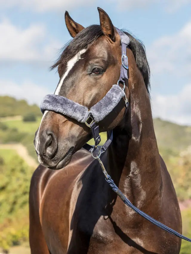 Indlæs billede i Gallery Viewer, LM(F) CORE Comfort Headcollar Navy
