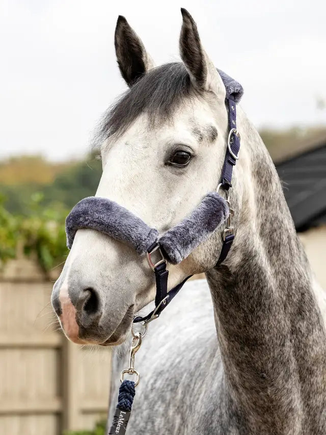 Indlæs billede i Gallery Viewer, LM(F) CORE Comfort Headcollar Navy
