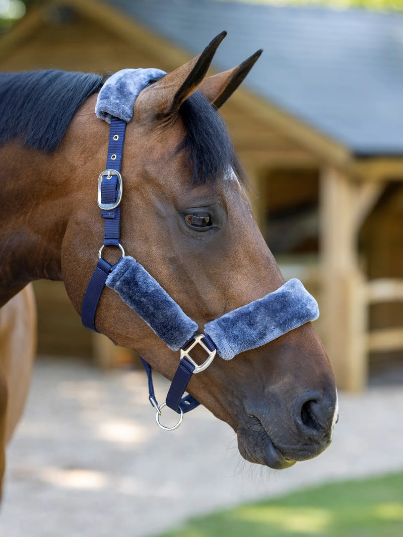 Indlæs billede i Gallery Viewer, LM(F) CORE Comfort Headcollar Navy
