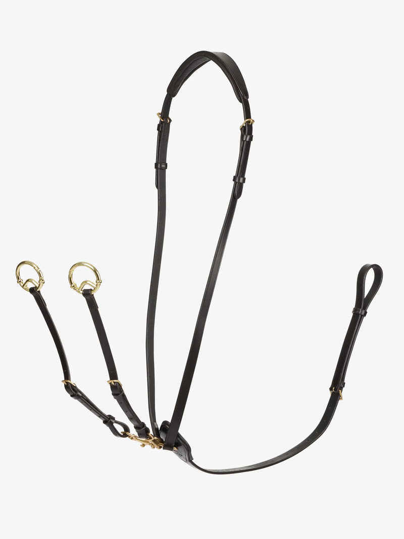 Indlæs billede i Gallery Viewer, LM(F) CORE Kudos Running Martingale Brown/Brass
