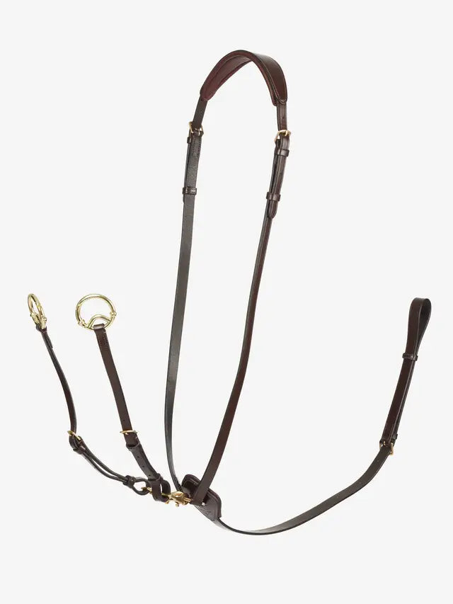 Indlæs billede i Gallery Viewer, LM(F) CORE Kudos Running Martingale Havana/Brass
