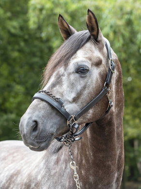 LeMieux Leather Control Headcollar