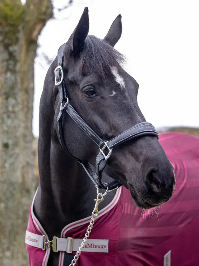 Indlæs billede i Gallery Viewer, LM(F) CORE Stitched Leather Headcollar Black
