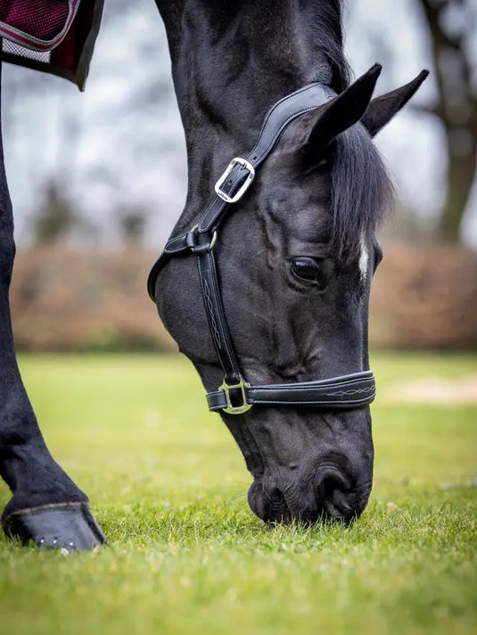 LM(F) CORE Stitched Leather Headcollar Black
