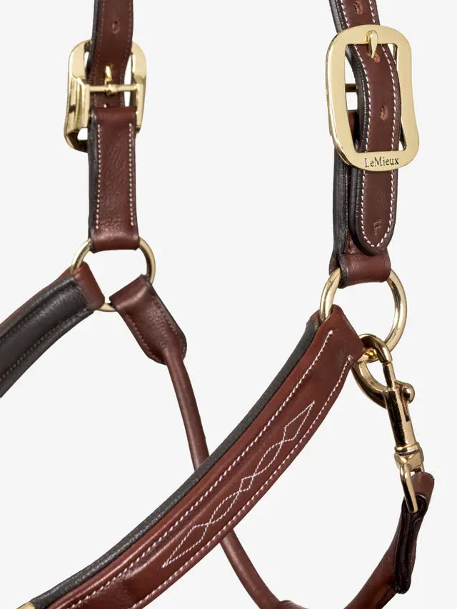 Indlæs billede i Gallery Viewer, LM(F) CORE Stitched Leather Headcollar Brown
