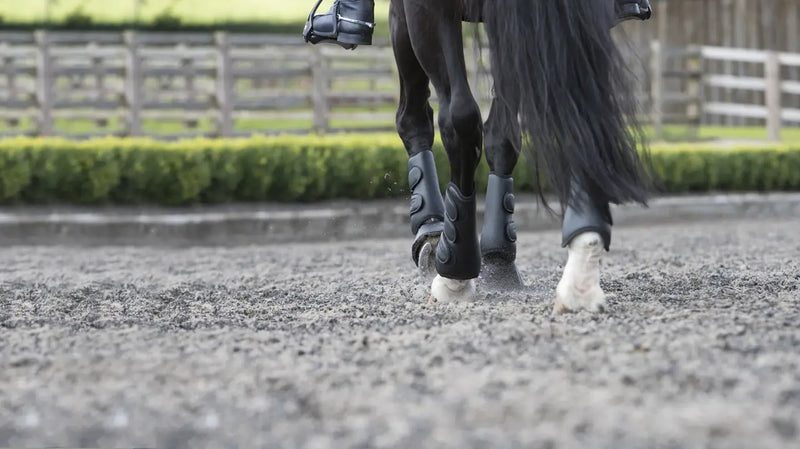 Indlæs billede i Gallery Viewer, LM(F) CORE Schooling Boot Black

