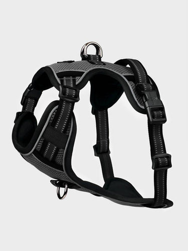 LeMieux Winchester Dog Harness