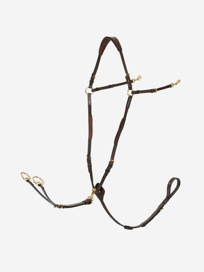 LM Breastplate (D-Ring) Havana/Brass