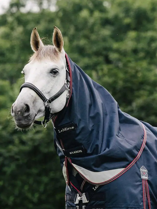 LM(F) CORE Kudos Turnout Neck Cover 100g Navy