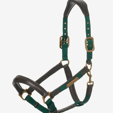 LM Capella Headcollar Spruce