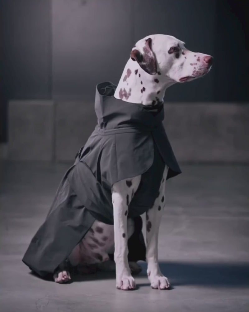 Indlæs og afspil video i Gallery Viewer, PAIKKA Visibility Raincoat DARK
