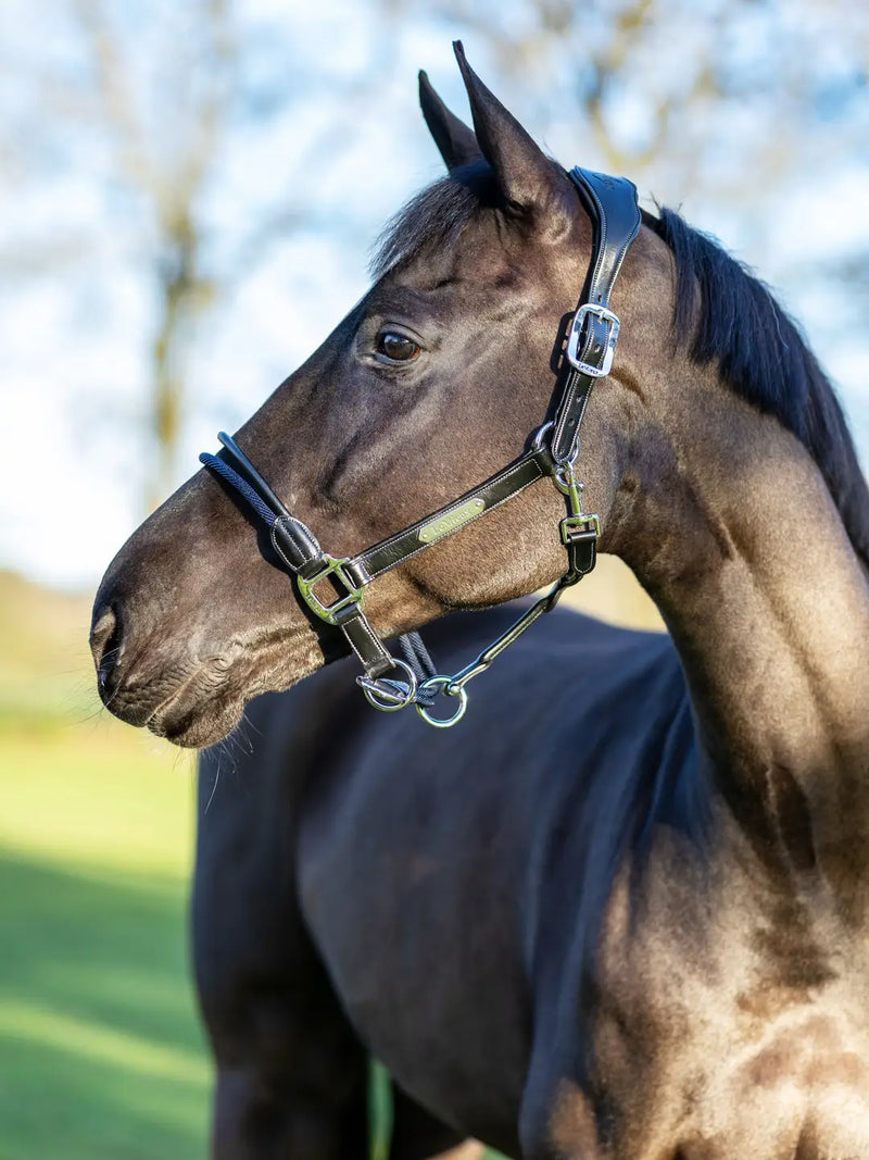 Indlæs billede i Gallery Viewer, LM CORE Rope Control Headcollar Black
