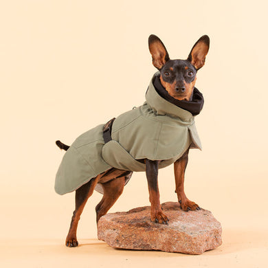 PAIKKA WINTER Jacket